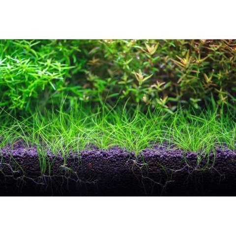 Neo Soil Plant Normal 3l - podłoże do akwarium roślinnego Neo Soil Plant Normal 3l - podłoże do akwarium roślinnego