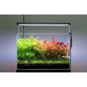 Neo Soil Plant Normal 3l - podłoże do akwarium roślinnego