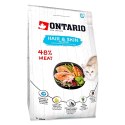 ONTARIO Cat Hair & Skin 2kg/ Pokarm dla kotów wspira sierść i skórę (213-10175)