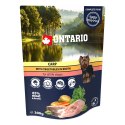 ONTARIO Saszetka Karp z warzywami w bulionie 300g (214-3393)