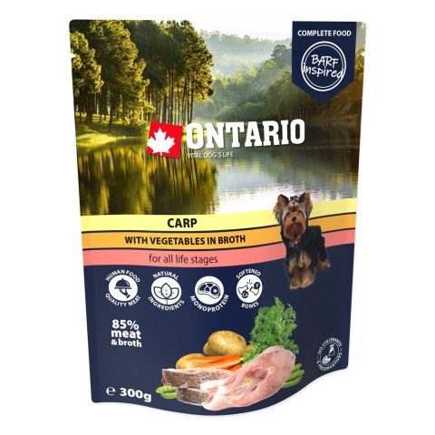 ONTARIO Saszetka Karp z warzywami w bulionie 300g (214-3393) ONTARIO Saszetka Karp z warzywami w bulionie 300g (214-3393)