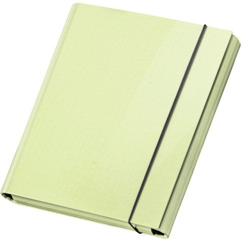 Teczka skrzydłowa z gumką PasteLove pastelowy limonka P/310/31 VAUPE Teczka skrzydłowa z gumką PasteLove pastelowy limonka P/310/31 VAUPE