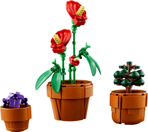 LEGO 10329 Icons Małe roślinki LEGO 10329 Icons Małe roślinki