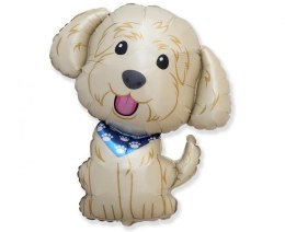 Balon foliowy Pies Cobberdog FX, 24 cale