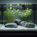 Kruger Meier Frosted Azure 4-7 mm - Żwirek akwarystyczny 2 kg