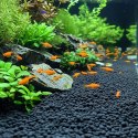Kruger Meier Onyx Magma Stones 4-8 mm - Żwirek do akwarium 2kg