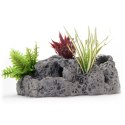 Terrario LavaCave XL - jaskinia miska w skale 45x23x20cm