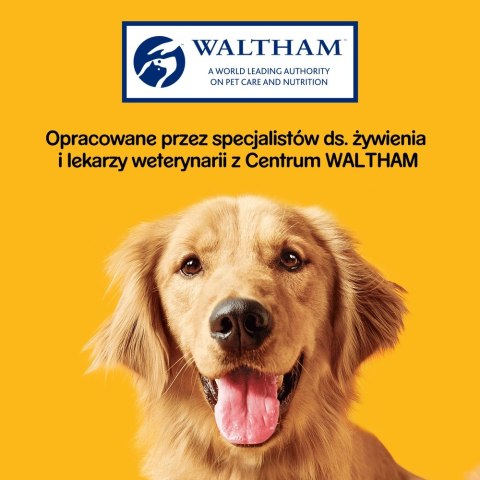 Pedigree Tasty Bites Chewy Slice Przysmak Dla Dorosłych Psów Z Wołowiną 155g Pedigree Tasty Bites Chewy Slice Przysmak Dla Dorosłych Psów Z Wołowiną 155g