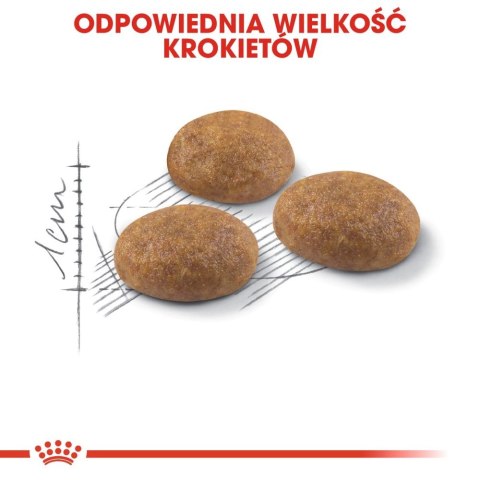 ROYAL CANIN Outdoor 400g ROYAL CANIN Outdoor 400g