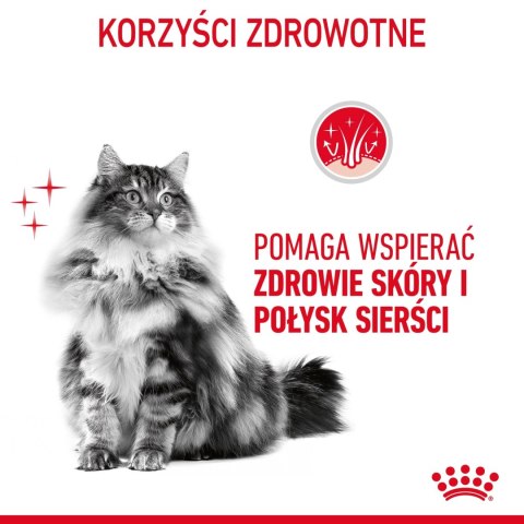 ROYAL CANIN Intense Beauty Gelee 12x85g ROYAL CANIN Intense Beauty Gelee 12x85g