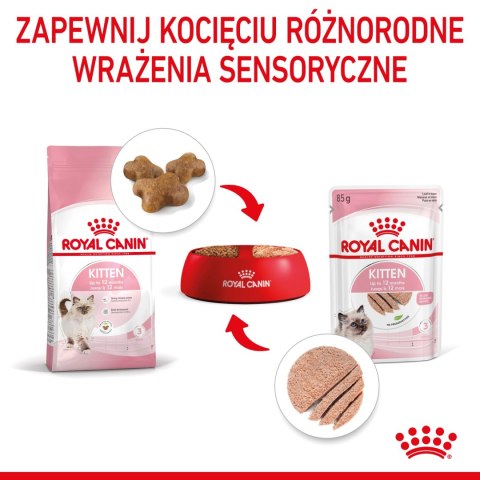 ROYAL CANIN Kitten Pasztet 12x85g ROYAL CANIN Kitten Pasztet 12x85g