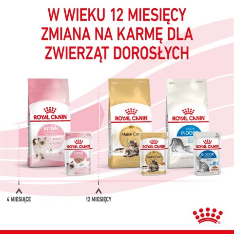 ROYAL CANIN Kitten Pasztet 12x85g ROYAL CANIN Kitten Pasztet 12x85g