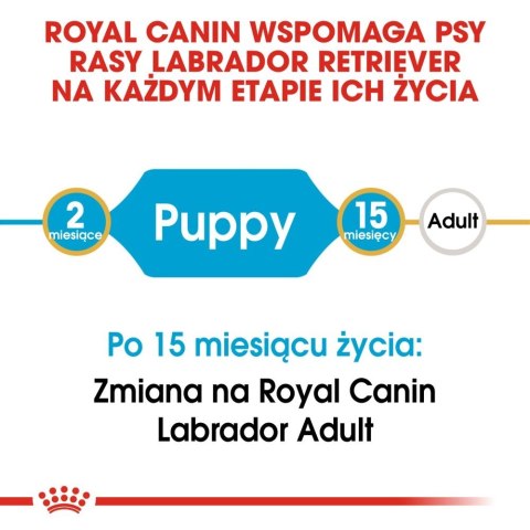 ROYAL CANIN Labrador Retriever Puppy 12kg ROYAL CANIN Labrador Retriever Puppy 12kg