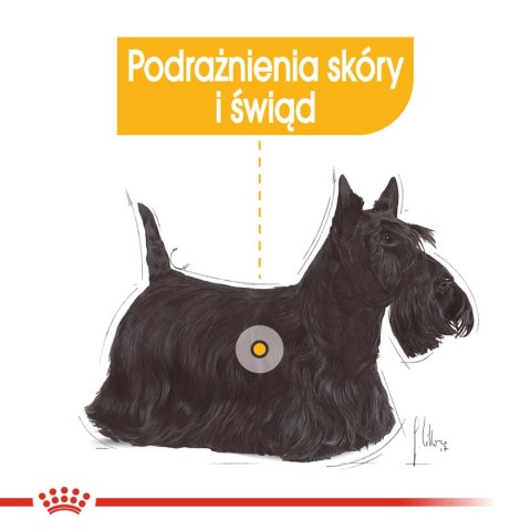 ROYAL CANIN Mini Dermacomfort 8kg ROYAL CANIN Mini Dermacomfort 8kg