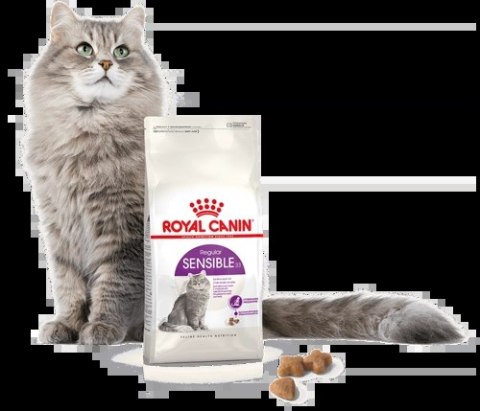 ROYAL CANIN Sensible 33 10kg