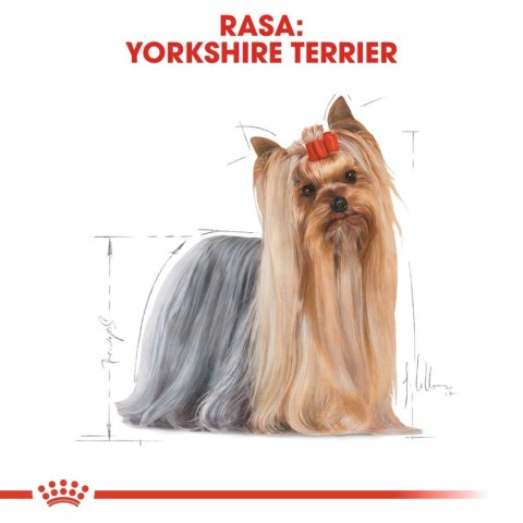 ROYAL CANIN Yorkshire Terrier Adult 3kg ROYAL CANIN Yorkshire Terrier Adult 3kg