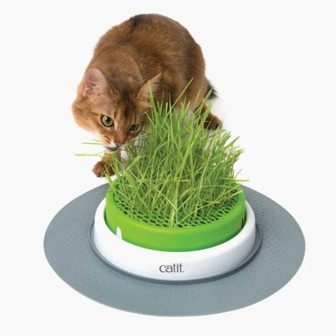 CATIT Zestaw Ogród Z Trawą CATIT Zestaw Ogród Z Trawą