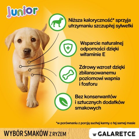 Pedigree Mokra Karma Dla Szczeniąt W Galaretce (Z Kurczakiem I Ryżem, Z Wołowiną I Ryżem) 4x100g Pedigree Mokra Karma Dla Szczeniąt W Galaretce (Z Kurczakiem I Ryżem, Z Wołowiną I Ryżem) 4x100g