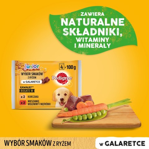 Pedigree Mokra Karma Dla Szczeniąt W Galaretce (Z Kurczakiem I Ryżem, Z Wołowiną I Ryżem) 4x100g Pedigree Mokra Karma Dla Szczeniąt W Galaretce (Z Kurczakiem I Ryżem, Z Wołowiną I Ryżem) 4x100g