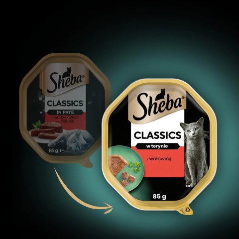 Sheba Classics Z Wołowiną 85g Sheba Classics Z Wołowiną 85g