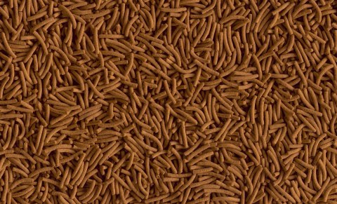 Tetra Cichlid XL Sticks 500ml Tetra Cichlid XL Sticks 500ml