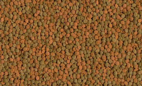 Tetra Wafer Mix 1000ml Tetra Wafer Mix 1000ml