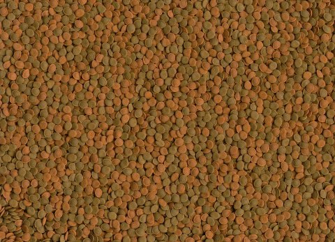 Tetra Wafer Mini Mix 100ml Tetra Wafer Mini Mix 100ml