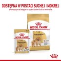 ROYAL CANIN Pomeranian Adult 3kg