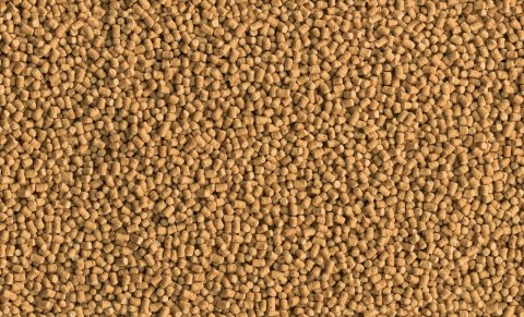 Tetra Pond Sticks Mini 1l Tetra Pond Sticks Mini 1l