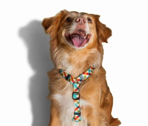 ZEE DOG Szelki H Phantom XS ZEE DOG Szelki H Phantom XS