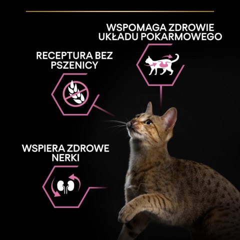 PURINA Pro Plan Delicate Turkey&Rice 10kg PURINA Pro Plan Delicate Turkey&Rice 10kg