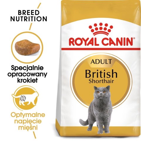 ROYAL CANIN British Shorthair Adult 4kg ROYAL CANIN British Shorthair Adult 4kg