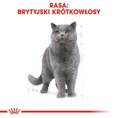 ROYAL CANIN British Shorthair Adult 4kg ROYAL CANIN British Shorthair Adult 4kg