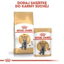 ROYAL CANIN British Shorthair Adult 4kg