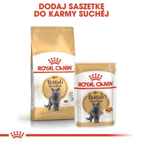 ROYAL CANIN British Shorthair Adult 4kg ROYAL CANIN British Shorthair Adult 4kg