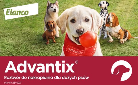 Bayer Advantix Krople Na Kleszcze I Pchły 4x4ml Bayer Advantix Krople Na Kleszcze I Pchły 4x4ml