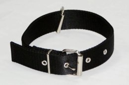 Dingo Obroża Z Luźnym Zapięciem Do Smyczy Dla Psa Czarna 70cm