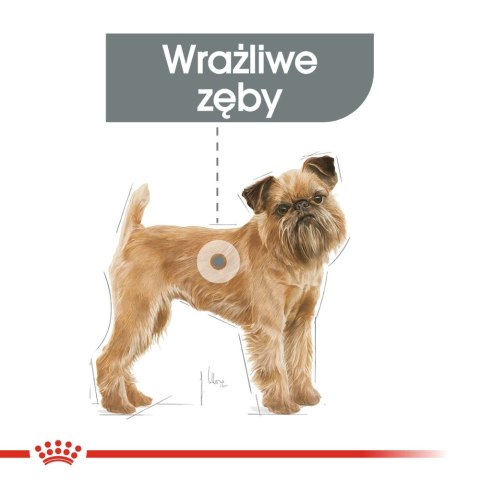 ROYAL CANIN CCN Mini Dental Care 3kg ROYAL CANIN CCN Mini Dental Care 3kg
