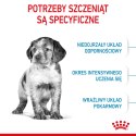 ROYAL CANIN Medium Puppy 15kg