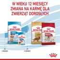 ROYAL CANIN Medium Puppy 15kg