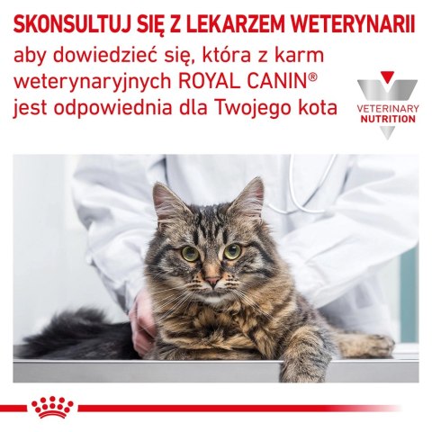 ROYAL CANIN Renal Feline 4kg ROYAL CANIN Renal Feline 4kg