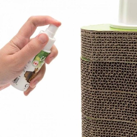 CATIT Kocimiętka W Sprayu 60ml CATIT Kocimiętka W Sprayu 60ml