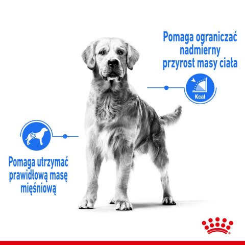 ROYAL CANIN CCN Medium Light Weight Care 12kg ROYAL CANIN CCN Medium Light Weight Care 12kg