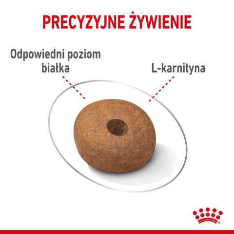 ROYAL CANIN CCN Medium Light Weight Care 12kg ROYAL CANIN CCN Medium Light Weight Care 12kg