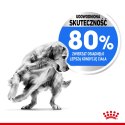 ROYAL CANIN CCN Medium Light Weight Care 12kg