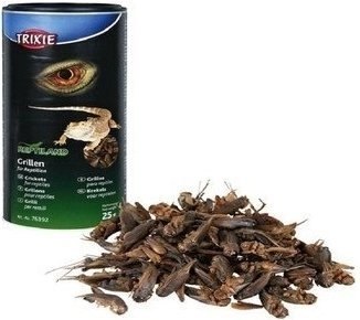 Trixie Suszone Świerszcze 25g Trixie Suszone Świerszcze 25g