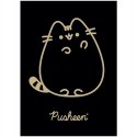 Zeszyt A5 60k kratka laminowany PUSHEEN