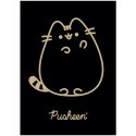 Zeszyt A5 60k kratka laminowany PUSHEEN