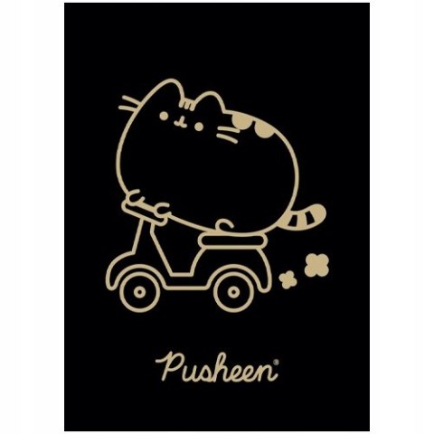 Zeszyt A5 60k kratka laminowany PUSHEEN Zeszyt A5 60k kratka laminowany PUSHEEN