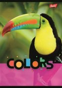 Zeszyt A5 32k kratka laminowany EXOTIC COLORS UNIPAP